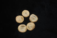 Strychnos nux-vomica